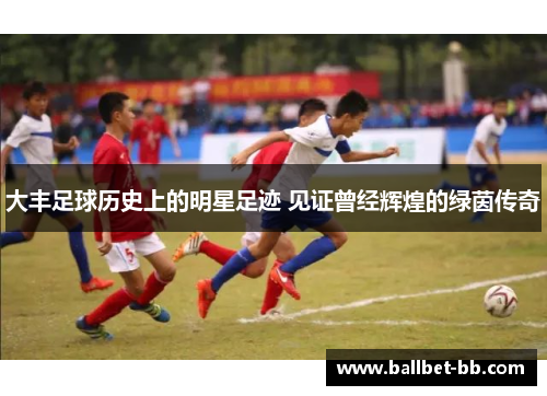 大丰足球历史上的明星足迹 见证曾经辉煌的绿茵传奇